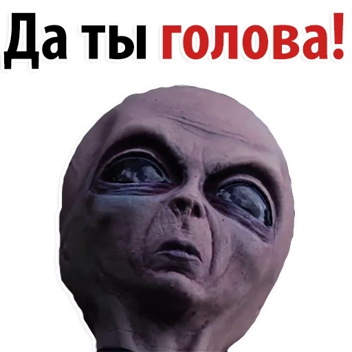 mensch, zema ist großartig, ein hartnäckiger alien, memes über außerirdische, zema beobachten sie die serie