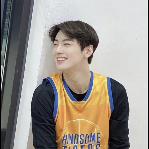 cha eun woo, aktor korea, chae eun woo basketball, bola basket cai enyu, cai en dan pemain bola basket