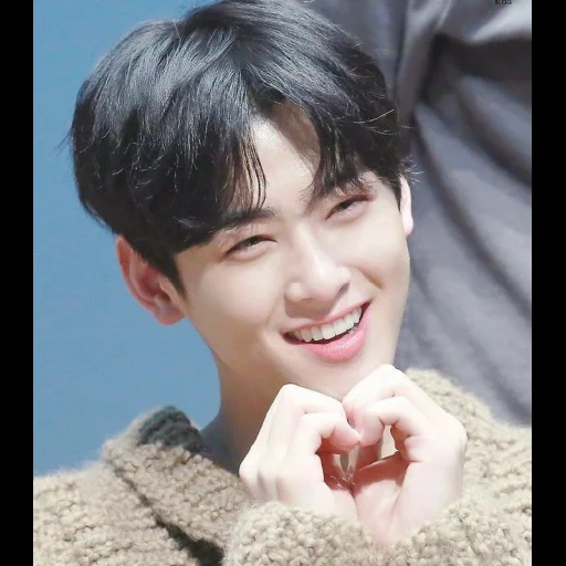 cha eunwoo, cha eun woo, eunwoo astro, acteur coréen, witaven villavidhayanant