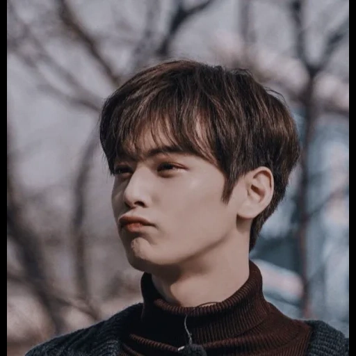 pria tampan, anak yang tampan, aktor korea, gaya rambut korea, cha eun woo aesthetic