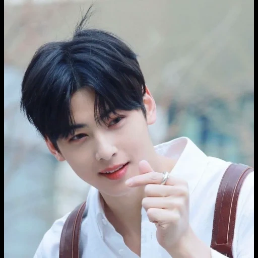 cha eun woo, raja arthur, atul gasparyan, aktor korea, cha eun woo idol