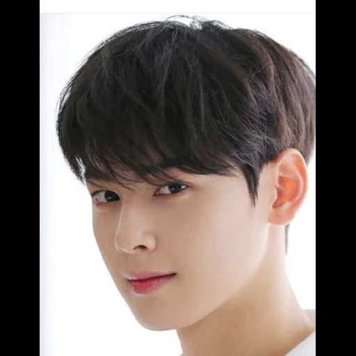 choi su-bin, eun woo lee, cha eun woo, aktor korea, aktor korea