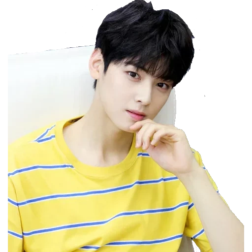 cha hyung, zheng zhongguo, cha eun woo, li dongming astro boy, acteur coréen