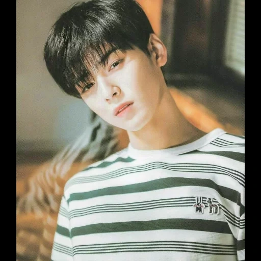 cha eunwoo, cha eun woo, beau garçon, acteur coréen, minho stray kids 2020