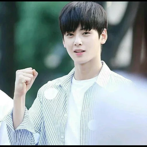 orang asia, cha eun woo, cha eun woo, eunwoo astro, aktor korea