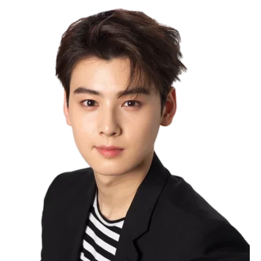 taicheng, aktor, cha eun woo, aktor korea, aktor korea