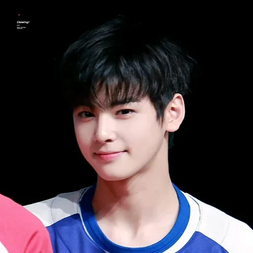 cha eunwoo, cha eun woo, che eunwoo 2014, beau garçon, acteur coréen