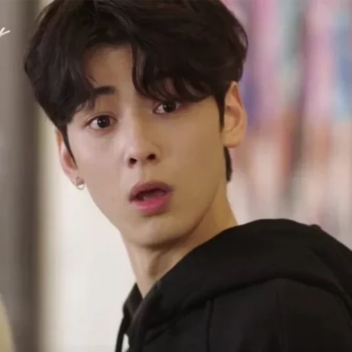 drama, la meilleure pièce, acteur coréen, drame coréen, cha eunwoo meilleurs favoris