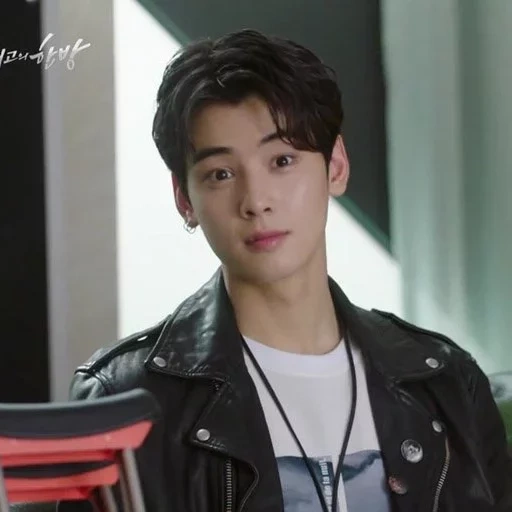 cha eun woo, acteur coréen, hommes coréens, cha eunwoo meilleurs favoris, meilleur succès de la série mj