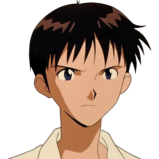 shinji, ikari shinji, asahi kumami, vangelo della vera terra, ikari shinji