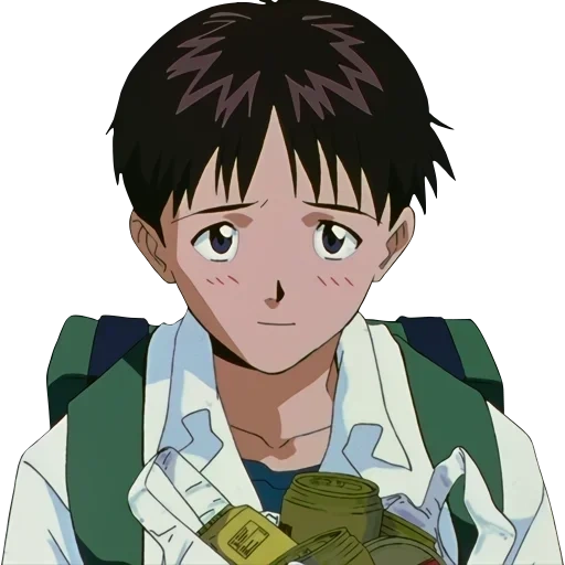 shinji, ikari shinji, vangelo di ikari, vangelo della vera terra, vangelo di ikari shinji