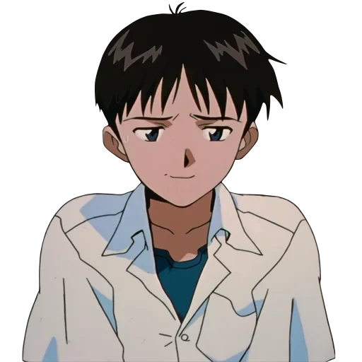 shinji, la figura, ikari shinji, vangelo della vera terra, vangelo di ikari shinji