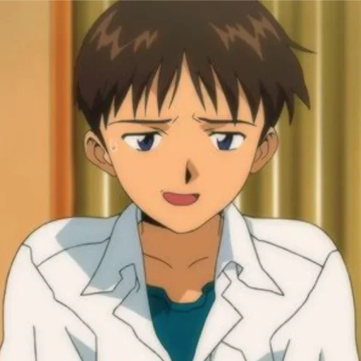 shinji, die evangelische kirche, shinji ikari, die abteilung des evangeliums, das evangelium 1995 shinji