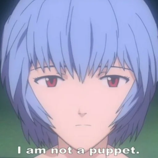 ayanami, евангелион, рей аянами, rei ayanami pfp, рей евангелион объединение адамом