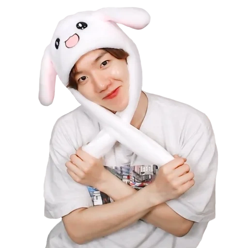 asian, pak chanyeol, exo chanel, baekhyun exo, bekhen exo kigurumi