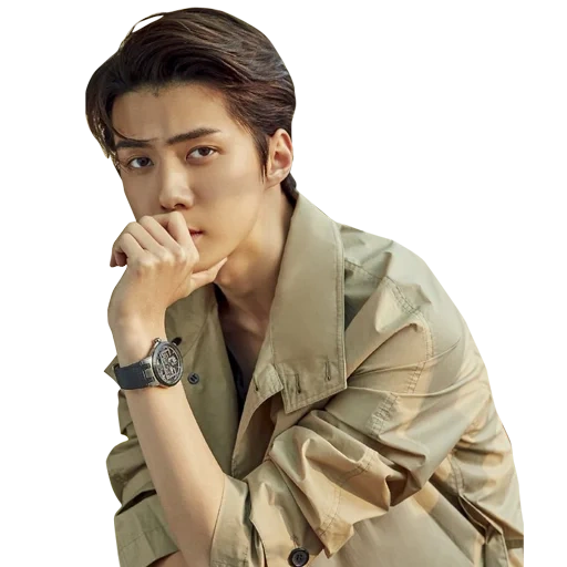 sehun, exo sehun, pak chanyeol, sehun 2019, anello non glich daal