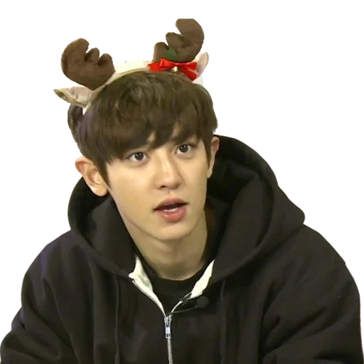 park chang-yeong, esso canelle, exo chanyeol, baekhyun exo, parco chanyeol memes bottle