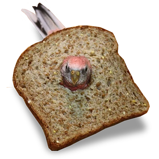 bread, a piece of bread, dirty bread, cool bread, a piece of bread