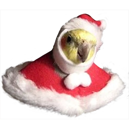 un juguete, parrot santa klaus