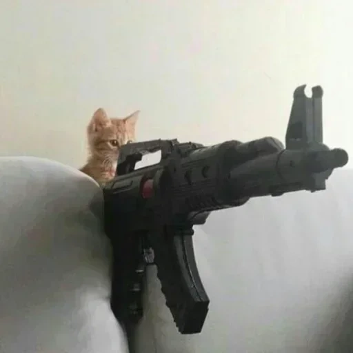 gibi, o gato é armas, o gato é automaticamente, contra-ataque, gatos com metralhadoras
