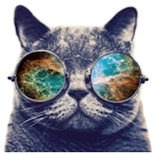 кот космических очках