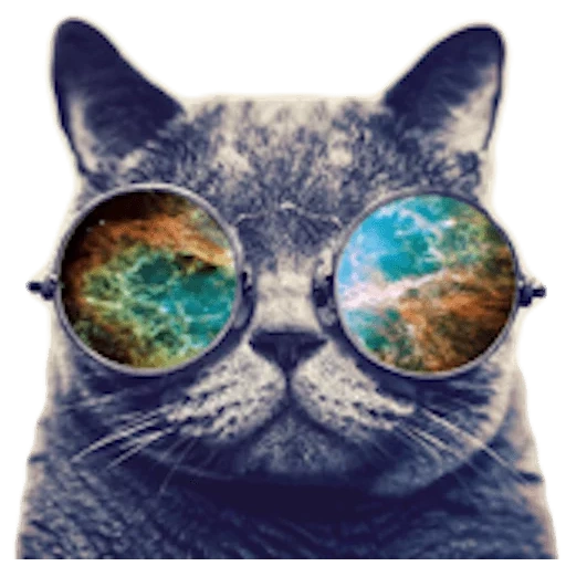 weltraum brille katze