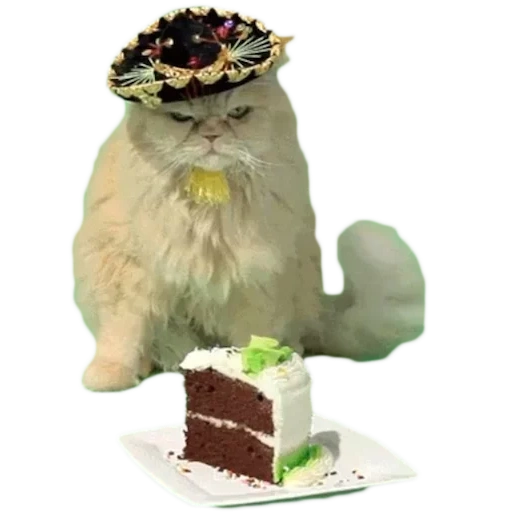 кошка короне, кот тортиком, кот ест торт