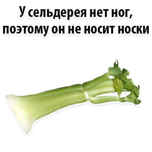 celery, celery green, celery bone, celery is funny, celery stalk