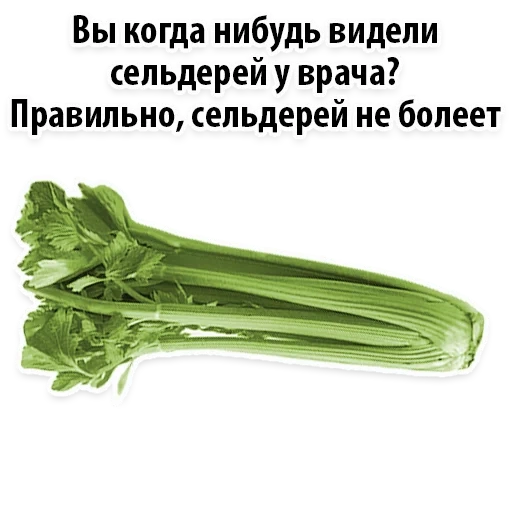 celery, celery stalk, celery is funny, celery, one piece of celery stalk