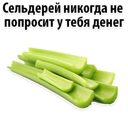 celery, celery stalk, celery, one piece of celery stalk, fresh celery stem