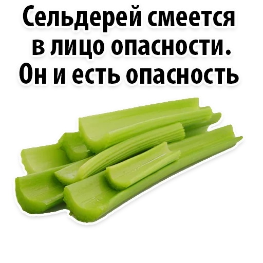 celery, celery stalk, one piece of celery stalk, celery stalk 1kg, fresh celery stem