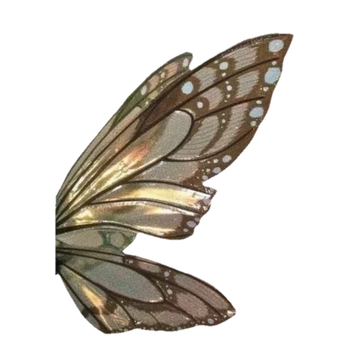 крылья феи, крылья бабочки, бабочка фэнтези, бабочка рисунок, волшебные крылья