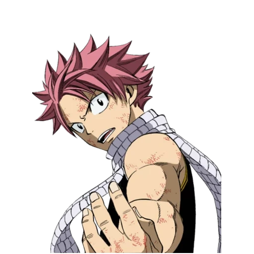 natsu, natsu dragneel, fairy tail natsu, natsu ha trascinato la testa, fairy tail natsu dragneel