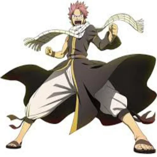 conte de fées, natsu dragneel, natsu dragneel 1, queue de fée natsu, fairy tail natsu pleine croissance