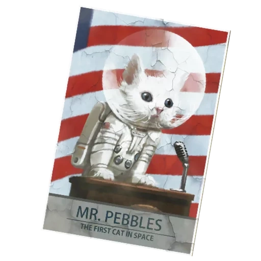 mr pebbles, affiche de m pebble, mr pebbles fallout, fallout 4 mr pebbles, m pebble 2224x1668