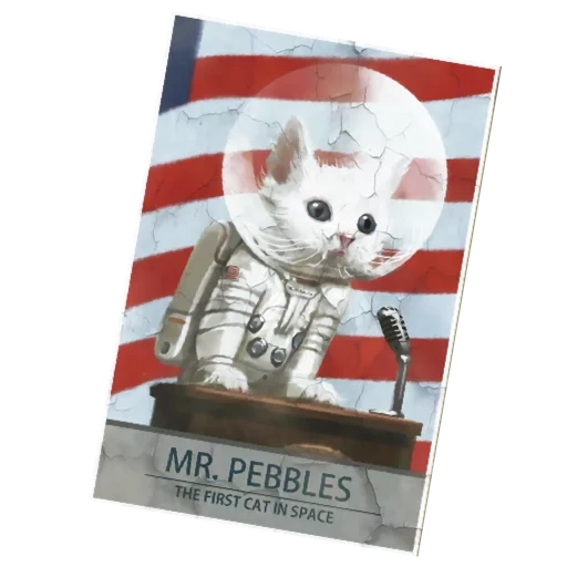 mr pebbles, mr pebbles плакат, mr pebbles fallout, fallout 4 mr pebbles, mr pebbles 2224х1668