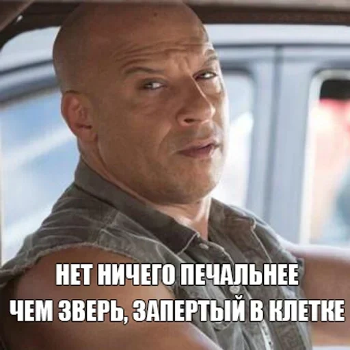 furious 8, fast and furious 7, vin diesel, toretto furious, dominic toretto