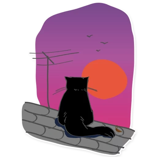cat, the black cat