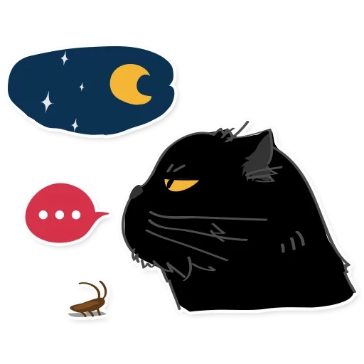 kucing, kucing hitam, kucing hitam, kucing hitam yang tidak puas