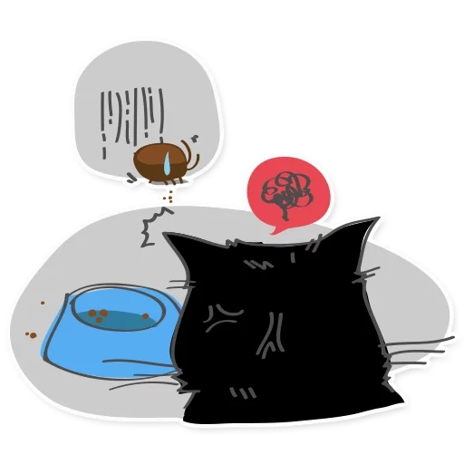 cat cat, black cat, the cat is black, black cat kofi