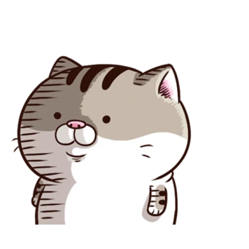 ami cat, ami fat cat, lovely seal, seal animation, animated seal