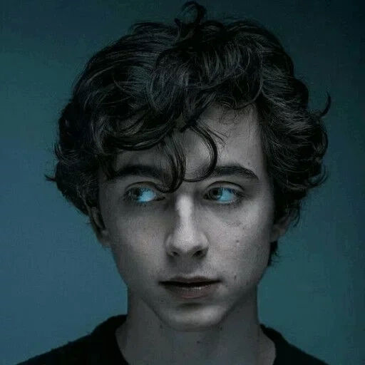 timothy salame, chicos lindos, chico guapo, retrato de hombre, timothee chalamet