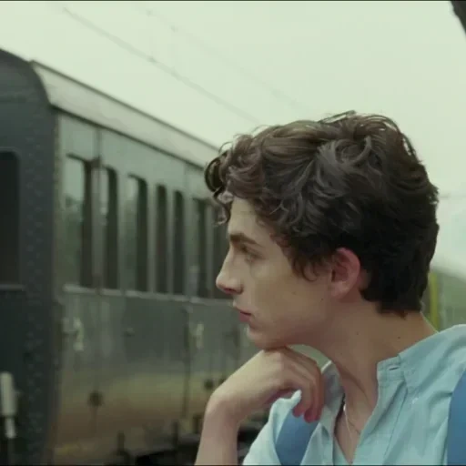 ami hammer, ellio perlman, timothy salame, call me your name, oliver timothy chalamet elio