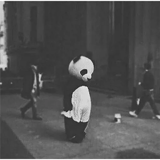 check out, cámara, panda triste, panda solo