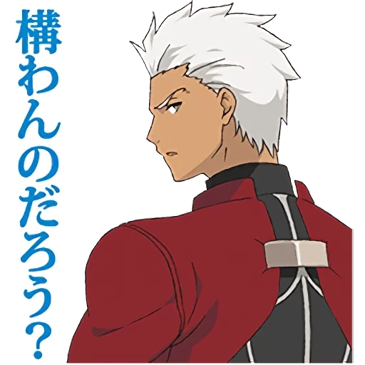 acher emia, fate archer, archer emiya shiro, destiny archer emia, archer croit en la personnalité de stinet