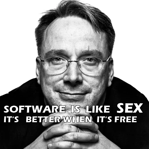 le mâle, sergey ivanov, linus proguld, linus torvalds, je veux mikhail labkovsky