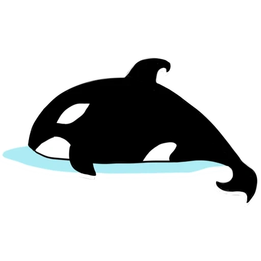 orca, orca, épaulard, épaulard, épaulard dauphin