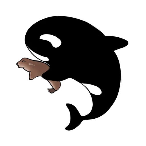 baleia, um gatinho para um, a baleia é uma baleia, baleia de baleia, vector de golfinho casatka
