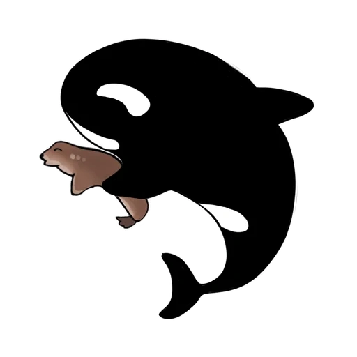 killer whale, killer whale k a, whale killer whale, killer whale, killer whale dolphin vector