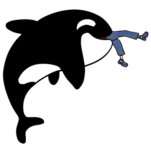 orca k a, delfino orca, delfino bianco e nero, orca delfino vettoriale